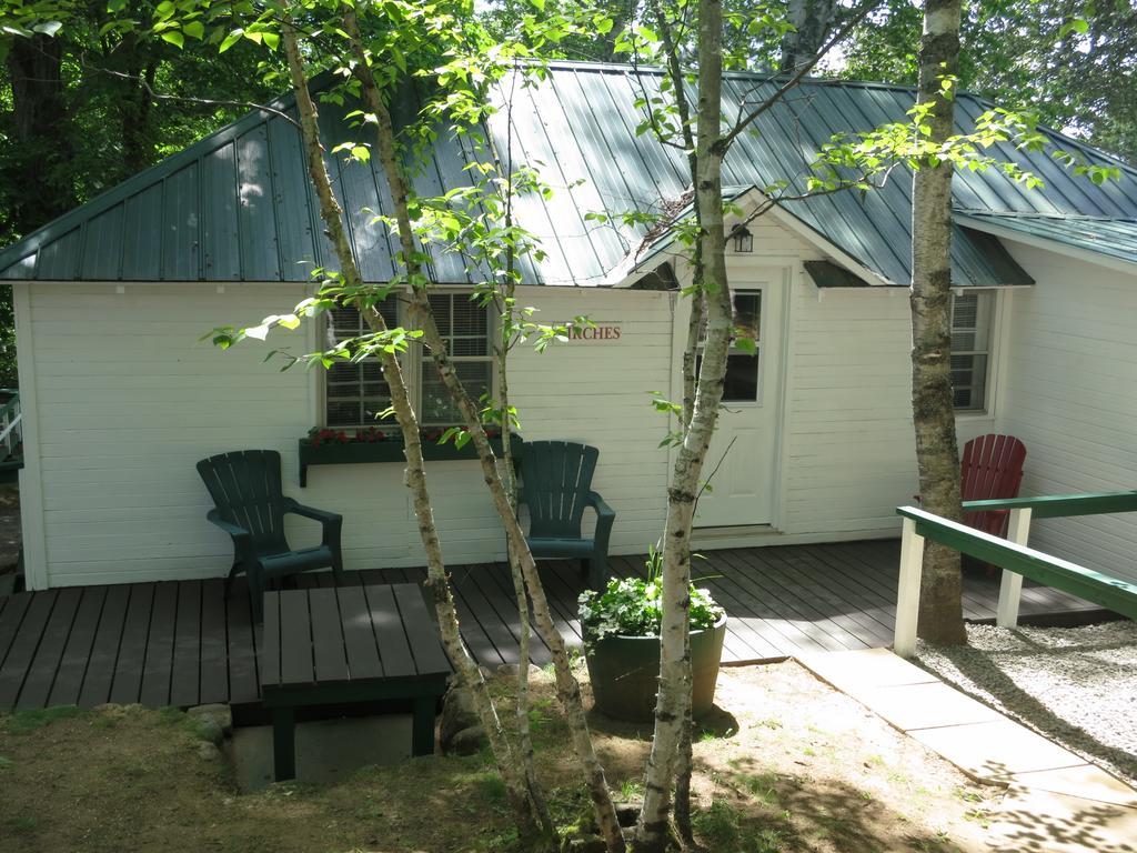Birch Cliff Lodge On Baptiste Lake Highland Grove Номер фото
