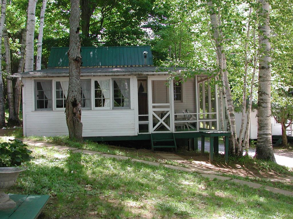 Birch Cliff Lodge On Baptiste Lake Highland Grove Номер фото