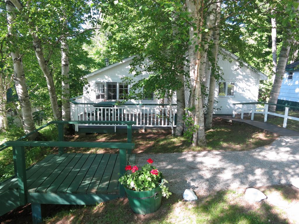 Birch Cliff Lodge On Baptiste Lake Highland Grove Номер фото